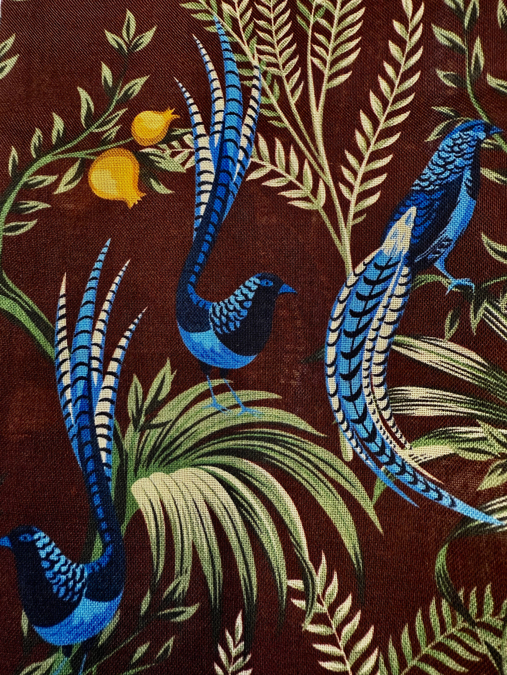 Birds of Paradise Print Wool-Silk Scarf, Burgundy